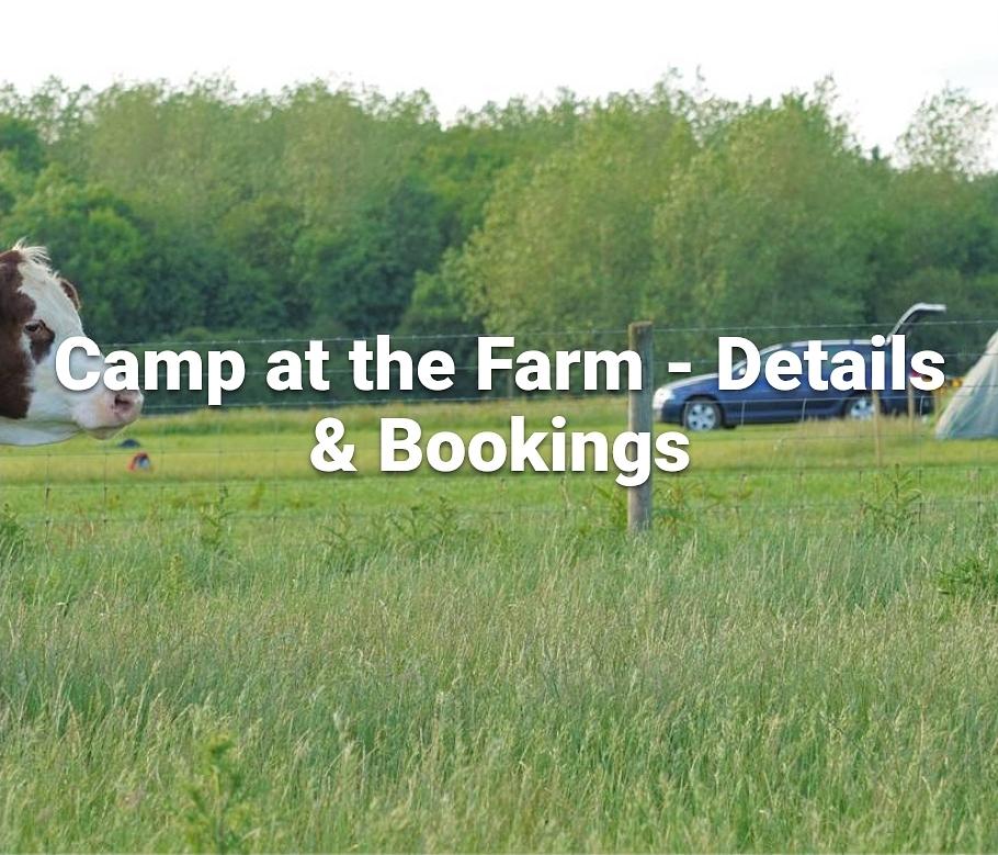 🐮 May Half Term Fun 2026 at Ardeley Farm, Hertfordshire (camping options) - Event Image 2 May 23, 2026 09:00 AM